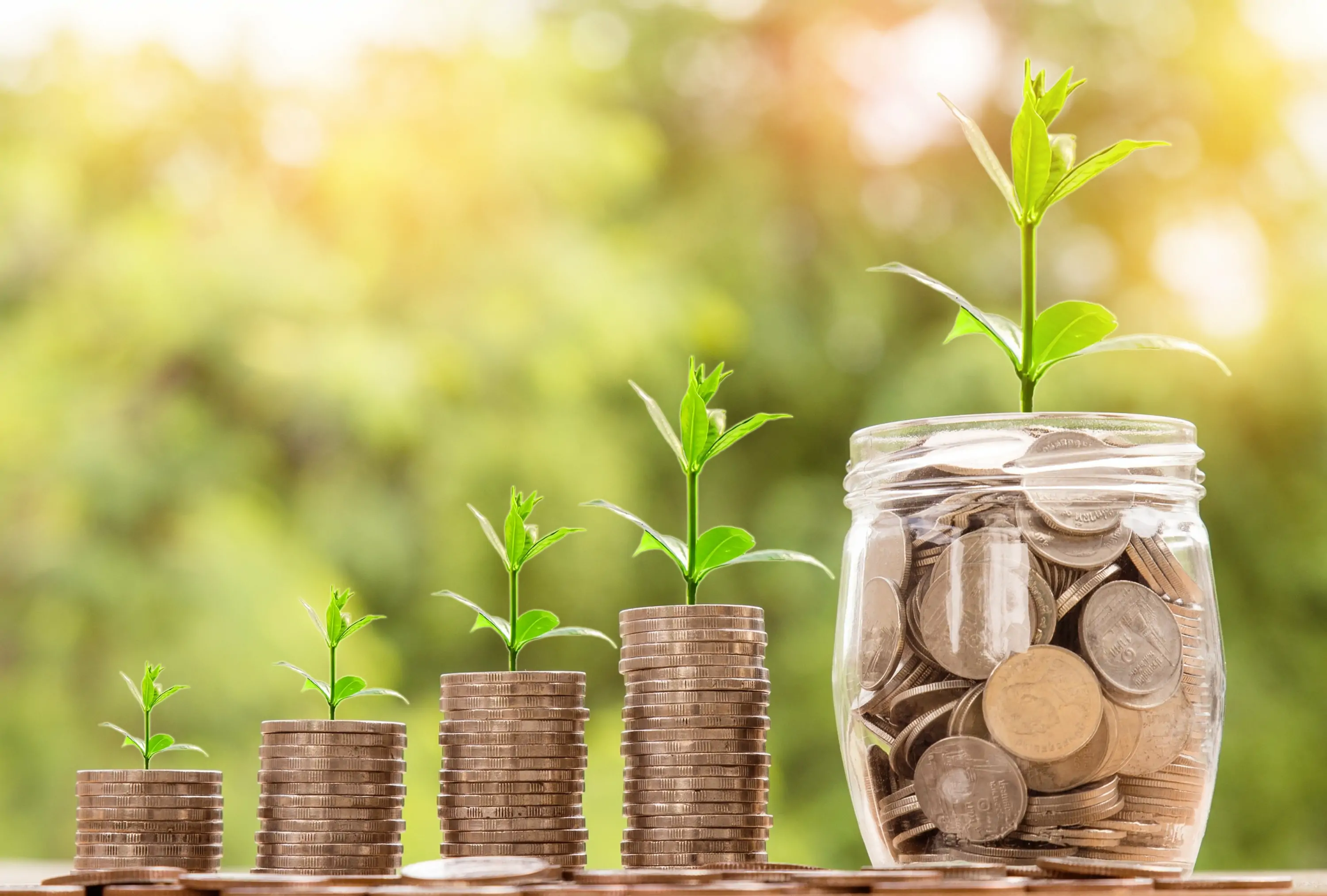Plants growing from stacks of coins